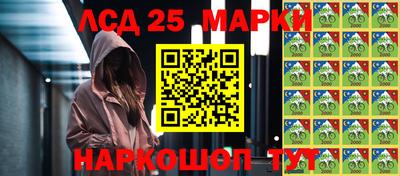 стафф Бердск