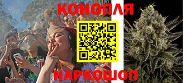 стафф Бердск