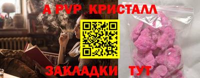 стафф Бердск