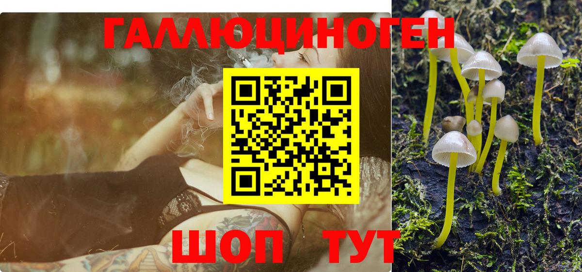 сколько стоит  Вход с VPN  Железногорск  Псилоцибиновые грибы Psilocybine cubensis 
